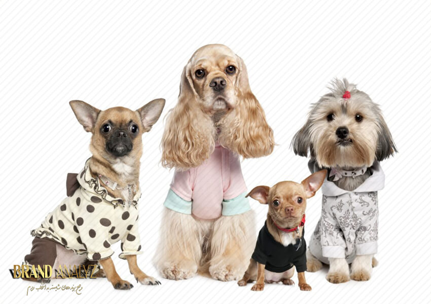 7 ایده طلایی برای خرید لباس سگ نر و ماده