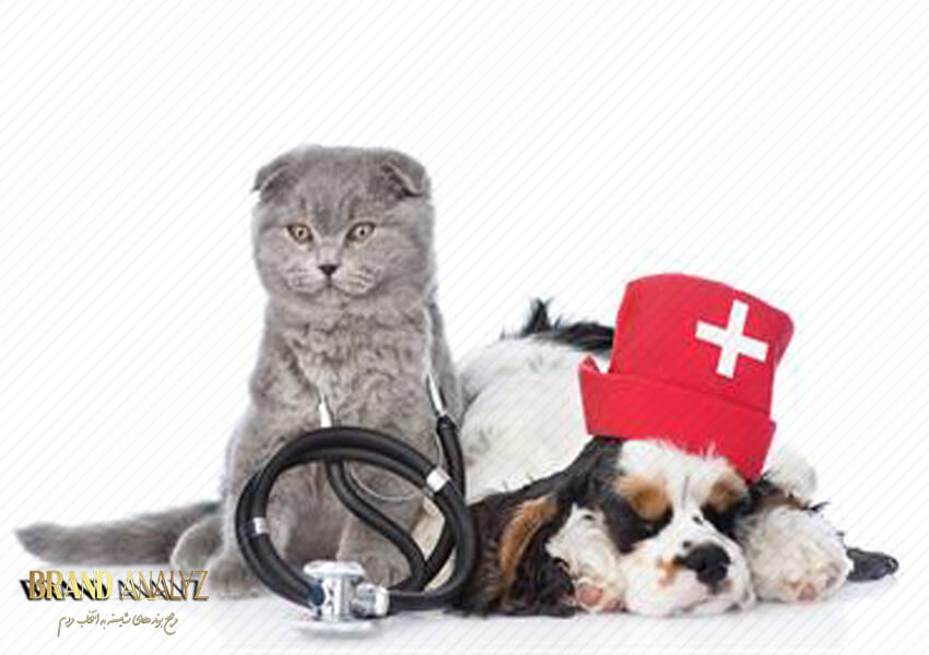 خدمات فوری آمبولانس و کلینیک سیار حیوانات خانگی