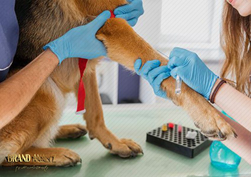 آیا تزریق انواع واکسن سگ و گربه واجب است؟