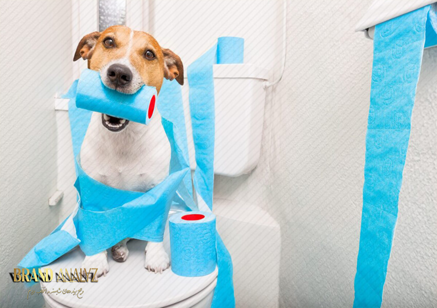 ضروری ترین وسایل دستشویی سگ کدامند؟