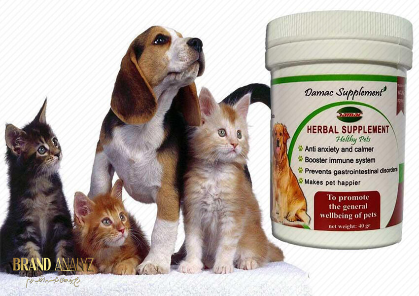 غذای مکمل و درمانی برای حیوانات خانگی