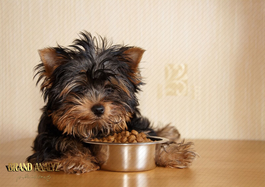 قیمت مکمل و مولتی ویتامین غذایی سگ